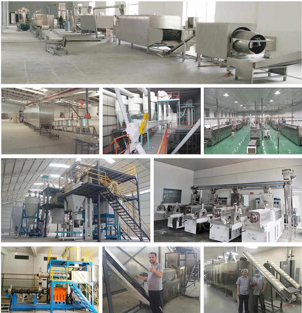 projects of fried snack production line