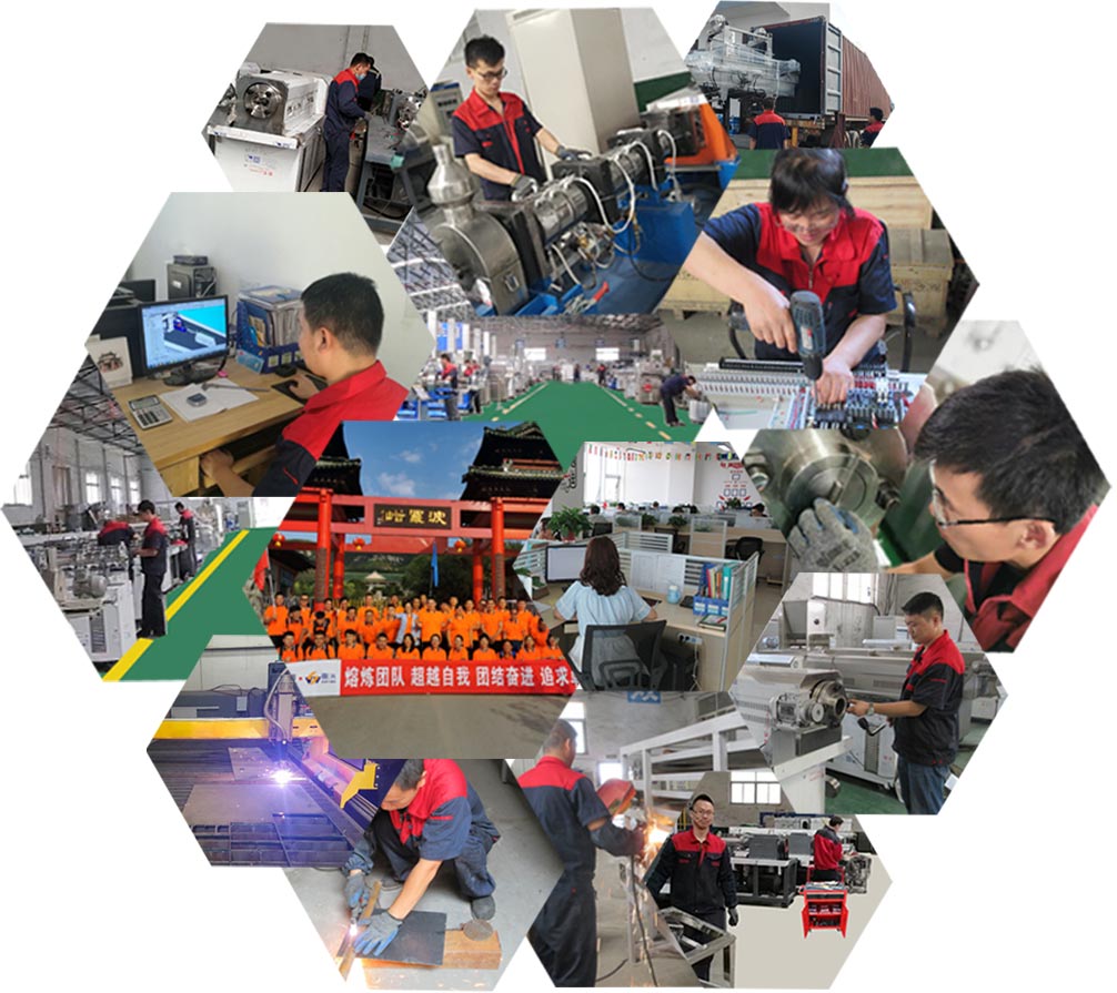 team of textured protein extruder factory