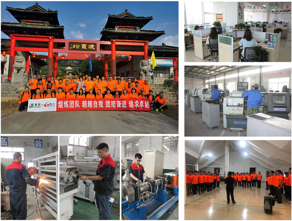 team of pet food machine factory