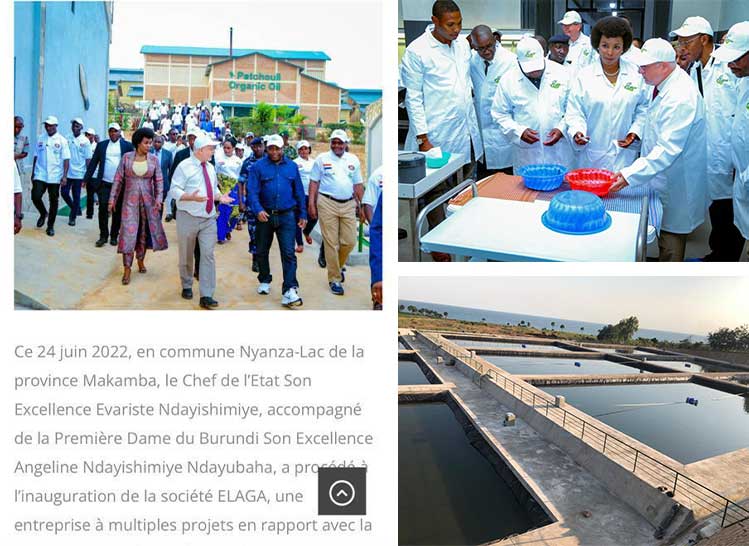 Burundi fish feed factory