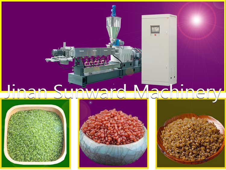Artificial FRK Plant Fortified Rice Extruder Machine Manufacturing Nutrition Rice