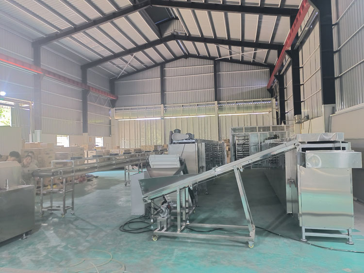 Vietnam edible rice drinking straw production line