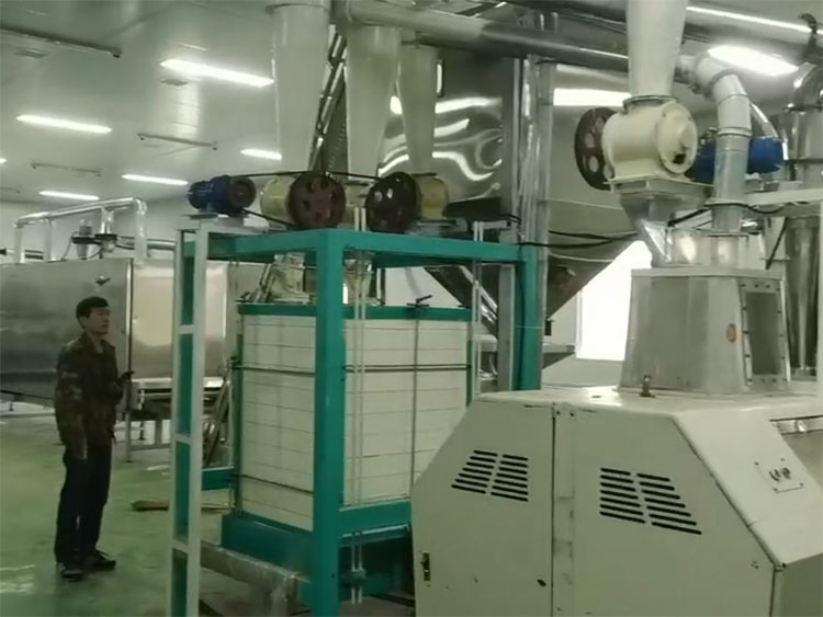 A nutrition powder production line start to production in Chendu